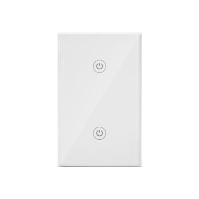 Cina tuya IoT smartlife wifi 2Gang 10A USA light wall switch, phone app remote and Alexa/google assistant voice control in vendita