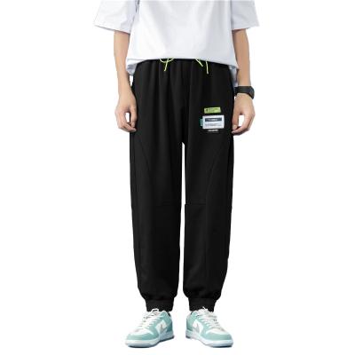 China Big Logo Anti-Static Custom Men's Casual Sports Pants With Leg Tied Straight Tube Loose Knitted Pants for sale