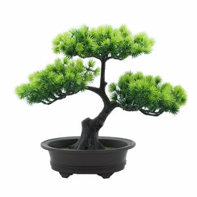 China Country Garden Decor Small Plastic Faux Plant Mini Potted Bonsai Pine Tree Artificial Plant for sale