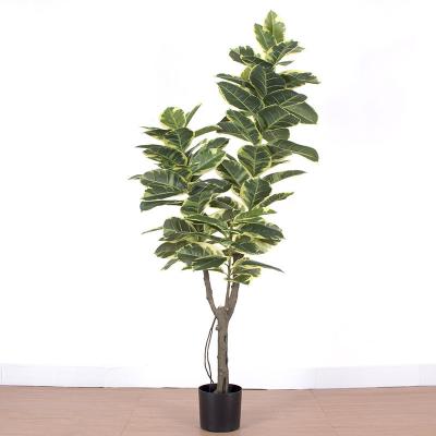 China Real Touch Moroccan Oak Ficus Green Leaves Artificial Touch Weathered Tree for sale