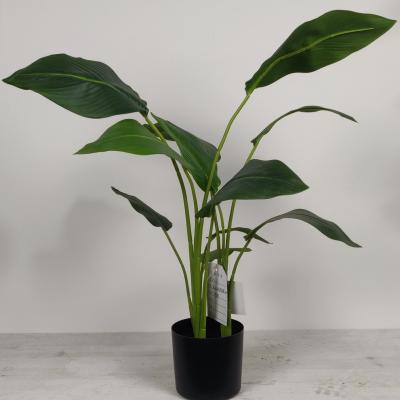 China Country Traveler Banana Tree Banana Palm Plant Artificial Plastic Bonsai Trees for sale