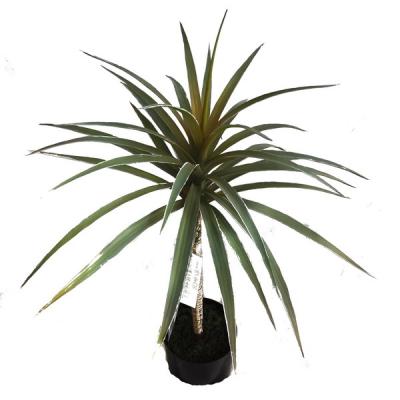 China Zen Garden Decoration Dracaena Asian Dragon Small Tree Artificial Dracaena Plant Green Plants for sale