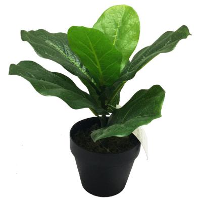 China Asian Zen Wholesale Artificial Fiddle Leaf Fig Plants Plastic Ficus Lyrata Pandurata Trees for sale