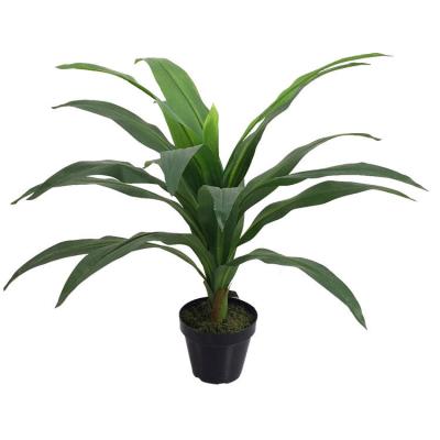 China Art Decor High Quality Wholesale Artificial Sago Cycas Bonsai Trees with Pot for Indoor and Outdoor Decoration for sale