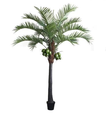 China Large Eco-Friendly Outdoor Project Eco-friendly Faux Tree Coconut Tree Artificial Landscape Design Alexandra Palm For Garden Decor for sale