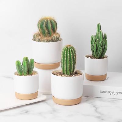 China Wholesale Cartoon Cheap White Double-Layer Green Plant Flowerpot Small Around Plant Plastic Succulent Pot for sale