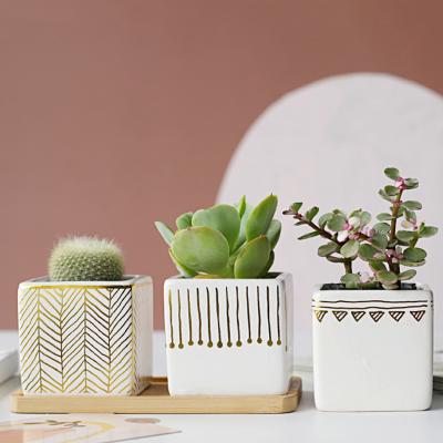 China Mini Garden Modern Succulent Ceramic Gold Creative Square Pattern Flower Pot Garden Succulent Pot for sale