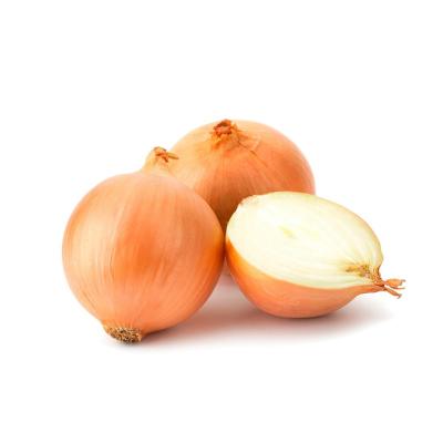 China Fresh Cheap Best Price Fresh Onion/Yellow Onion for sale