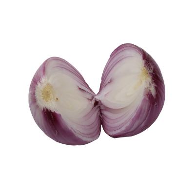 China Fresh Cheap Price Red Onion Fresh Organic Onion for sale