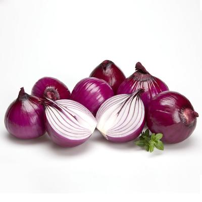 China fresh fresh myanmar red onion from china agricultural product for sale