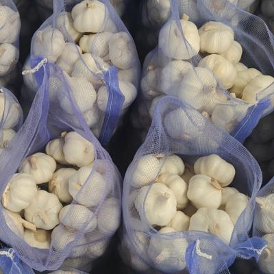 China 2022 Fresh Pure White Fresh Garlic / Alho / Ail From Jin Xiang Liming for sale