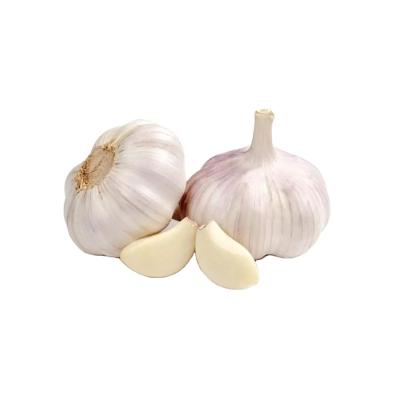 China Best Fresh Grade Fresh Natural White Natural Galic White Garlic for sale