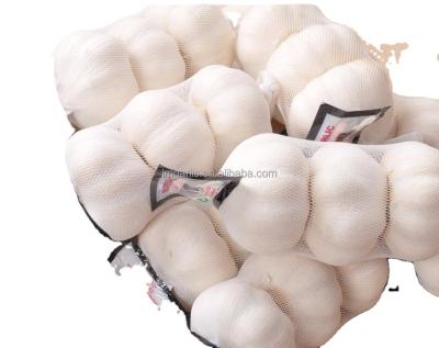 China 2021 Normal/Ajo/Ajo Wholesale White Garlic Fresh/Alho White Purple Fresh Garlic for sale