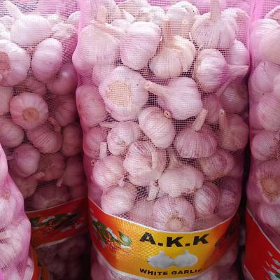 China Wholesale Fresh Natural Organic Normal White Garlic With Cheap Price for sale