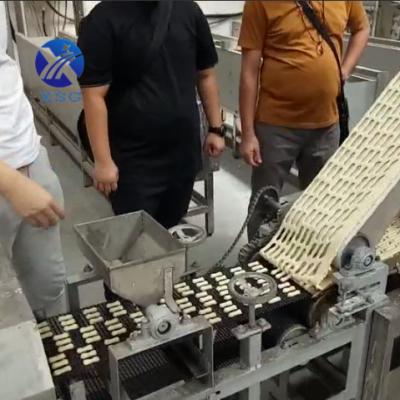 China Snack food factory Electric Oven Automatic Biscuit Making Machine Production Line for sale