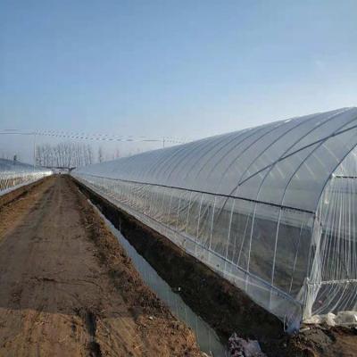 China Plant Growth Greenhouse Prices Hydroponic Agricultural Coal Boiler Greenhouse for sale