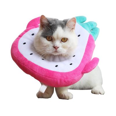 China 2021 New Style Fruit Embroidery Cartoon Cat Supplies Soft Collar Stocked Anti-licking Circle Elizabethan Shape Circle for sale