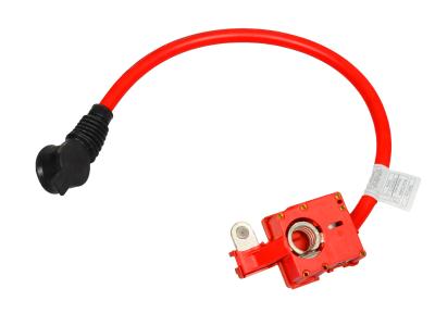 Cina Rossa 2 AWG Cavi della batteria per auto Cavo della batteria per auto Cavo Oe Oem Costume per varie auto in vendita