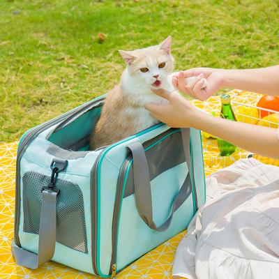 China Portable Carrier Stored Mesh Cloth Backpack Handbag Outdoor Breathable High Capacity Pet Travel Bag Cat House for sale