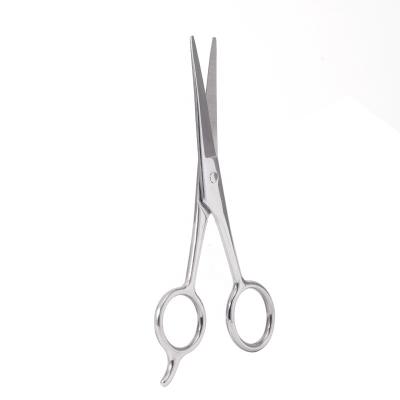 China Modern Wholesale Professional Stainless Steel Hair And Scissors Salon By Bahasa Pro for sale