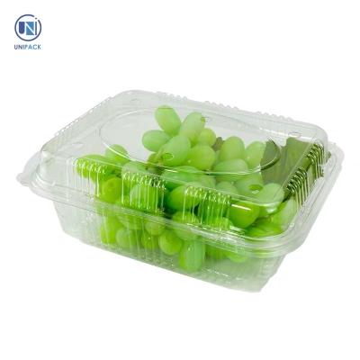 China UNIPACK Recyclable Factory Producing Clear Plastic Transparent Cake Box Cake Fruit Cake Boxes for sale