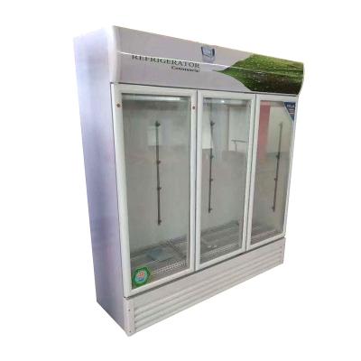 China Supermarket. Internet cafe. Hot-selling restaurant refrigerator for beverage/milk/beer/cola beverage/milk/beer/cola commercial vertical glass door fridge display/showc for sale