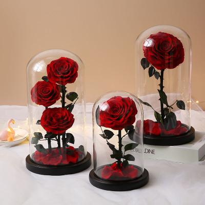 China 2021 China Valentine's Day Gift Hot Selling Artificial Preserved Rose Flower Finished Glass Cover Birthday Gift Preserved Rose for sale