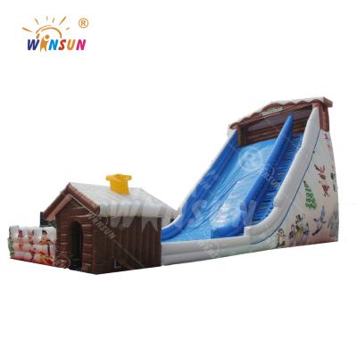 China Outdoor Water Fun Inflatable Punisher 30 Feet - Tall Water Slide Slip n Slide Water Slide for sale