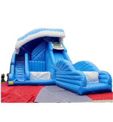 China PVC Shockwave Inflatable Slide And Commercial Attractive Jumper Water Slide For Amusement Park for sale