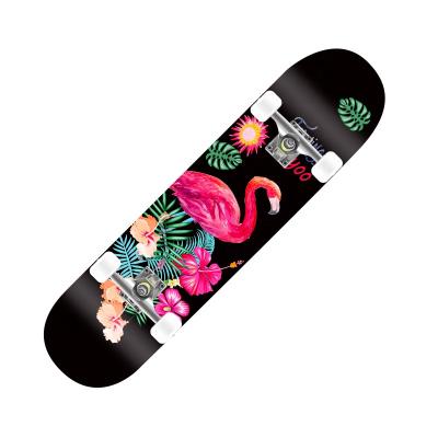 China Full youth experience china northeast china maple export wood skateboards with big PU wheel aluminum alloy bracket skateboards for adults for sale