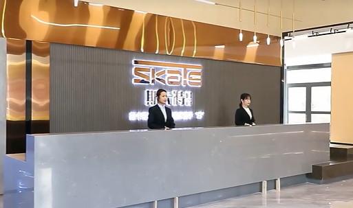 確認済みの中国サプライヤー - Skate (shanghai) Technology Co., Ltd.