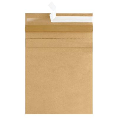 China New Arrival Express Transport Packaging Shippers Envelopes Bags Fast Delivery Ad Bag Manufacture Direct Selling for sale