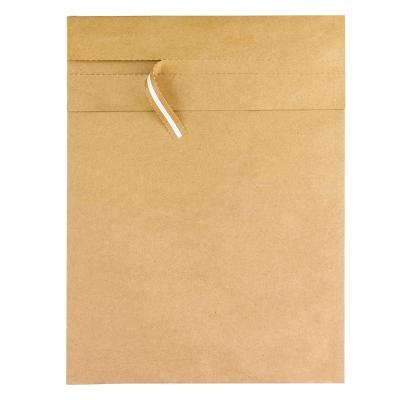 China Low price express professional manufacturer custom shipping kraft paper bag paper mailer for sale for sale