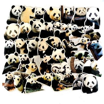 China Suitable For Smooth Surfaces 50pcs Panda Stickers For Suitcase Cool Cute Animal Laptop Skateboard for sale