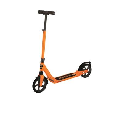 China Diverse Youth Promotional Goods Using Kick Scooter For Adult for sale