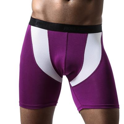 China Hot Selling Custom Made Breathable Modal Contrast Color Men Fashion Sport Fitness Shorts Sexy Track Pants Wear for sale