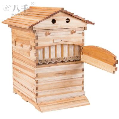 China Farms Wholesale Wax-Coated Pine Wax-Coated Pine Beehive Automatic Self-Overflowing Beekeeping Tools Beekeeping Tools Hive for sale