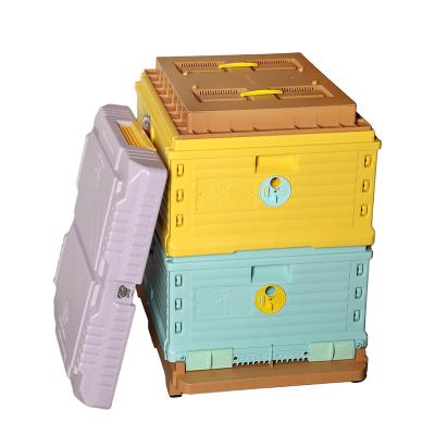 China Deep View Langstroth Double Layers Hive Box Beekeeping Plastic Tool Equipment Australian Unmounted Langstroth Hive 10 Frame for sale