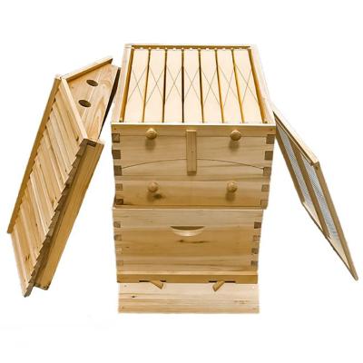 China Farms Bee Hive Beehive Automatic Beekeeping Beekeeping Equipment Tool Box Unmounted Self-Flowing Self-Flowing Beehive for sale