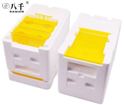 China Farms Polystyrene Beehives Beekeeping Tools Plastic Breeding Box Mini Mating Queen Bee Hive for sale