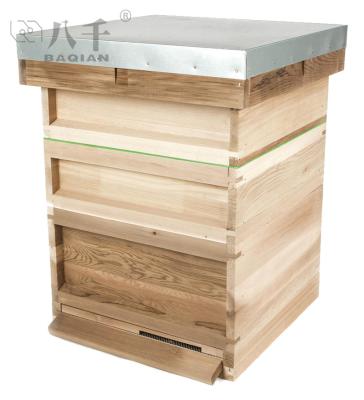 China B.S National Premium Assembled 14 Farms Pine Wood Bee Hive British National Wooden Beehive X12 British National Bee Hive for sale