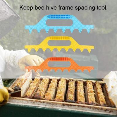 China 10 Frames Plastic Bee Hive Sight Spcing Tool Beehive Farms Factory Supply Beekeeping Equipment Langstroth Hive Spacer Tool for sale