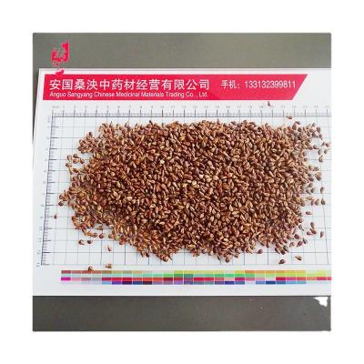 China 0.5~1.5 Two Seeds High Quality Volume Grape Seed Powder Grape Seed For Skin Whitening Products for sale