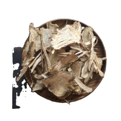 China Dried Wild Premium Chinese Herbs Traditional Medicine Angelica Root Sinensis Sprout for sale