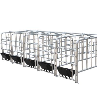 China Farms Hog Restraint Equipment Gestation Farrowing Stall Used For Sow Trading for sale