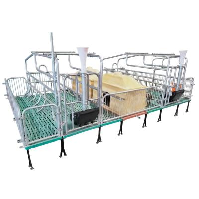 China European style galvanized steel pipe pig cages with slatted floor for sow farrowing crate for sale