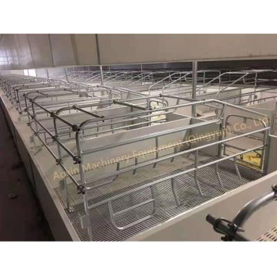 China Euro Style European Style Hog Crate With Hot Dip Galvanized Steel Pipe For Sow Farting for sale