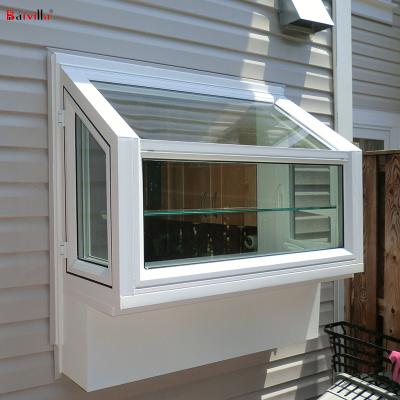 China Foshan New Product Aluminum Swing Design Sunshine Garden Windows for sale