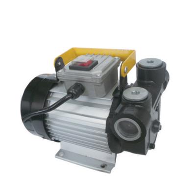 China Auto industry Trupow brand 550w 60L high quality electric diesel fuel transfer pump 220v/110v for sale