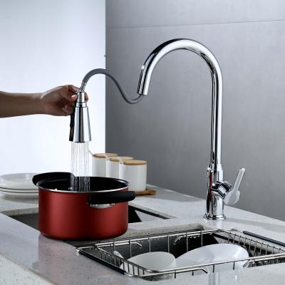 China Pull Out AecTex 2 Spray Works Multifunctional Stainless Steel Pull Down Taps Kitchen Mixer Sink Faucet for sale